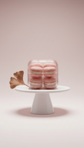 Dusty rose quartz lychee macarons box